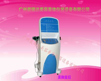美胸皇后
